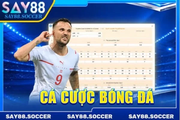 Cá Cược Bóng Đá SAY88 - Sân Chơi Uy Tín, Tỷ Lệ Thưởng Lớn