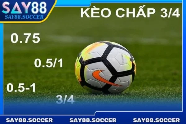 Kèo chấp 2 Hướng dẫn đọc kèo từ SAY88 giúp bạn nhanh trúng lớn.